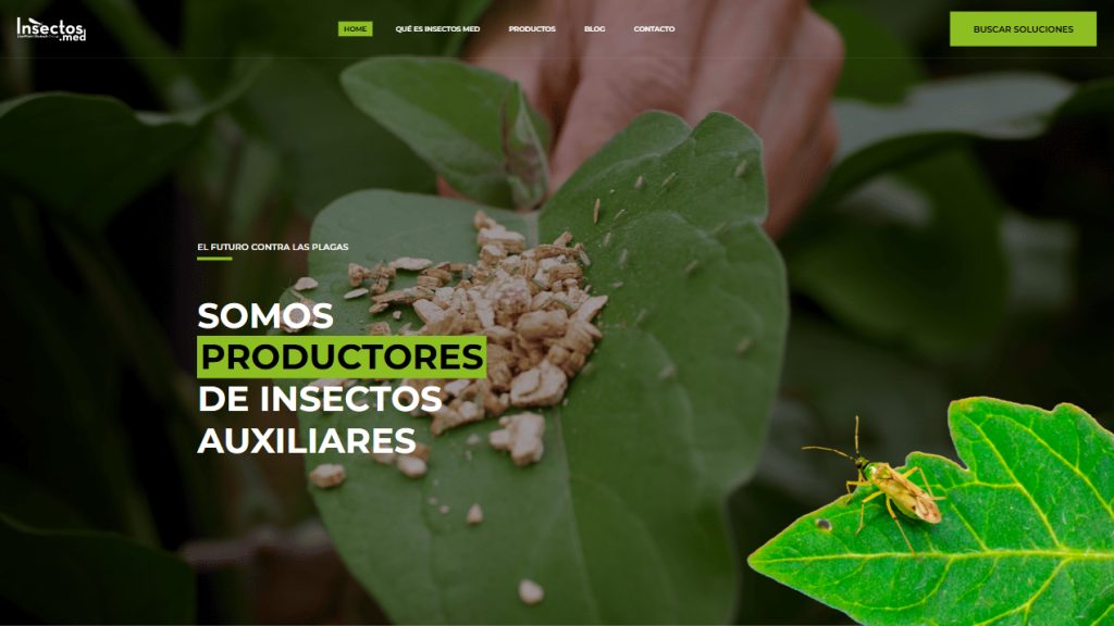 Insectos Med